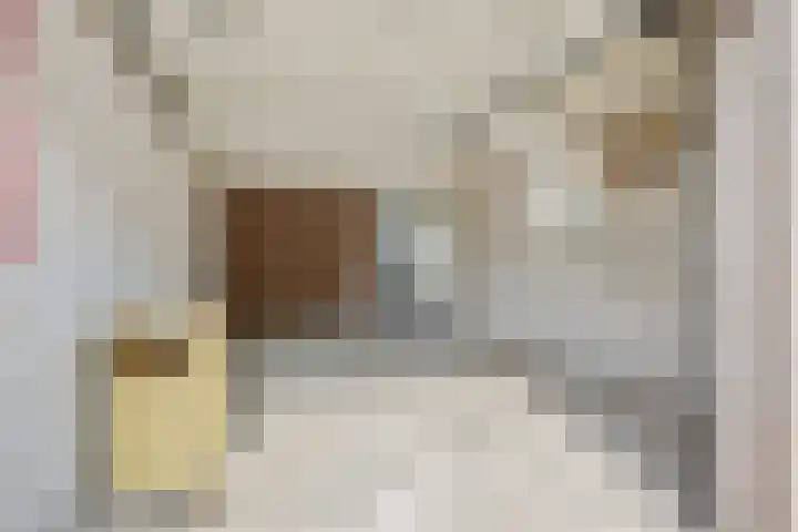 Klokbeker 40 Heesch thumbnail 30
