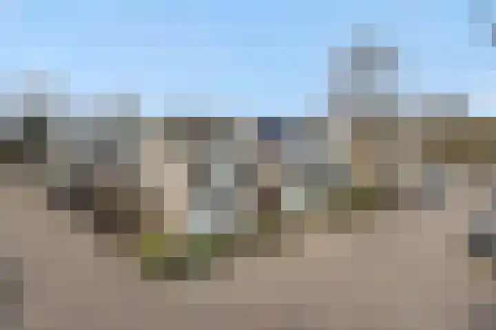 Klokbeker 40 Heesch thumbnail 43