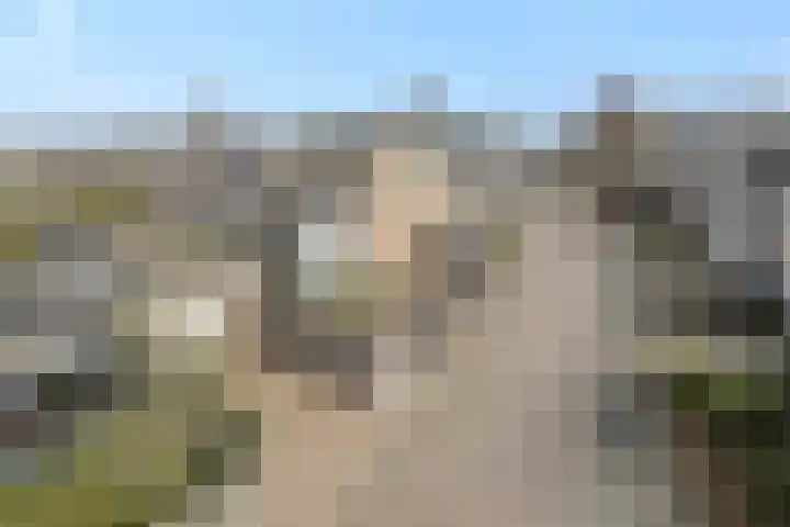 Klokbeker 40 Heesch thumbnail 44