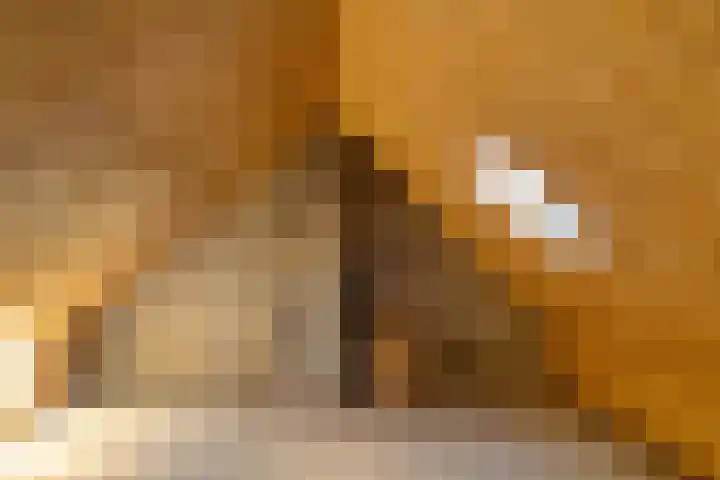 Klokkenpad 16 Stedum thumbnail 26