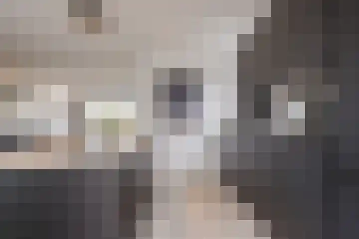 Klokstaart 69 Eersel thumbnail 11