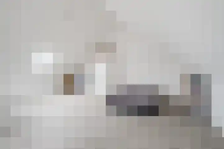 Klokstaart 69 Eersel thumbnail 25