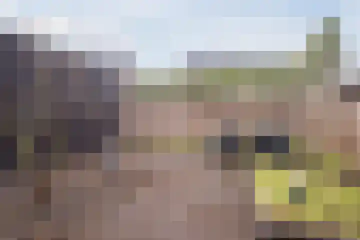 Klokstaart 69 Eersel thumbnail 31