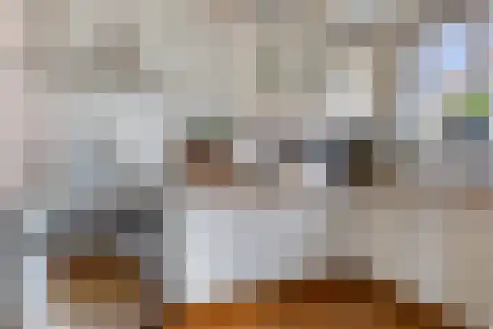 Klokstrjitte 9 Holwert thumbnail 22