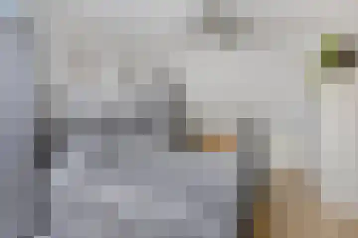 Klokstrjitte 9 Holwert thumbnail 27