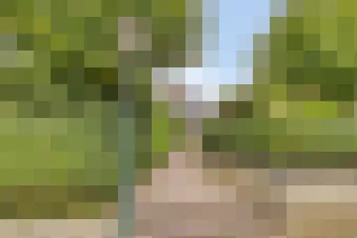 Klokstrjitte 9 Holwert thumbnail 36