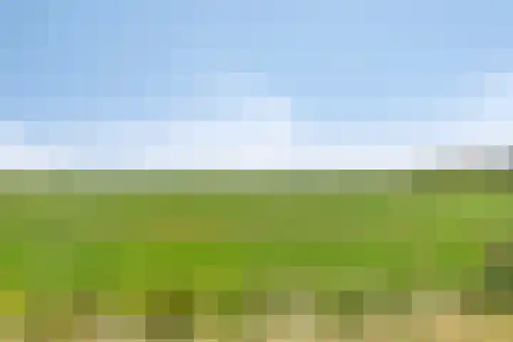 Klokstrjitte 9 Holwert thumbnail 37