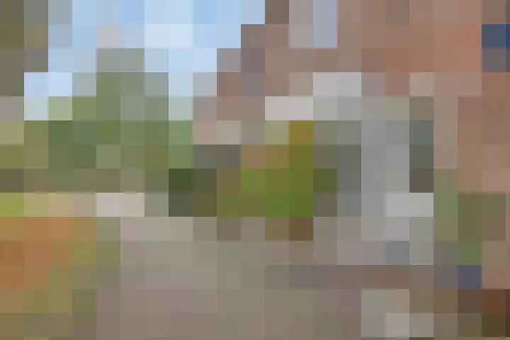 Klompenmaker 19 Oud-Beijerland thumbnail 20