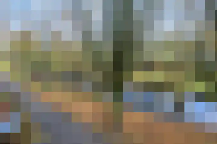 Klompenmaker 19 Oud-Beijerland thumbnail 21