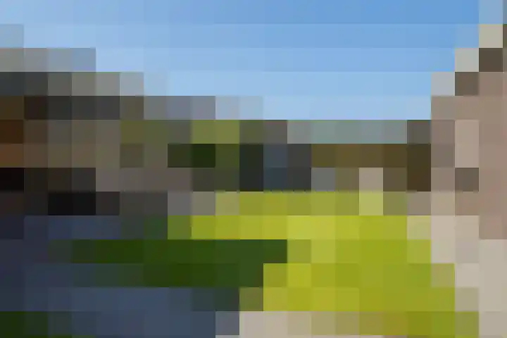 Klompenmaker 96 Oldenzaal thumbnail 37