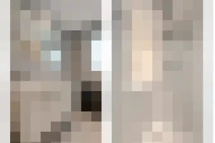 Klompenmakersweg 46 Wezep thumbnail 27