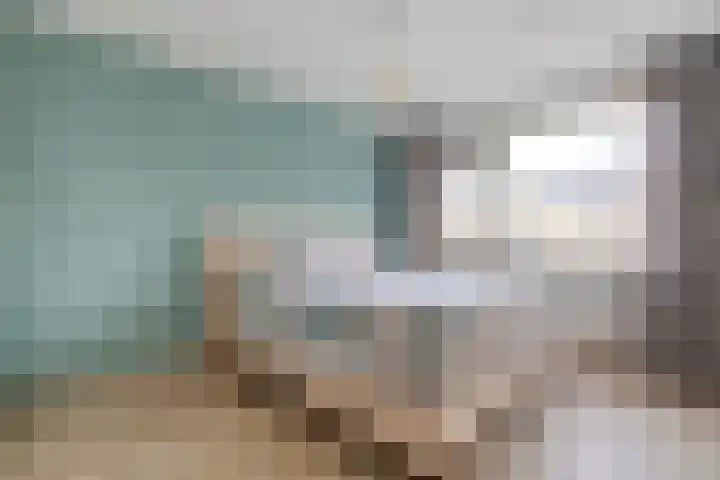 Klompenmakersweg 46 Wezep thumbnail 28