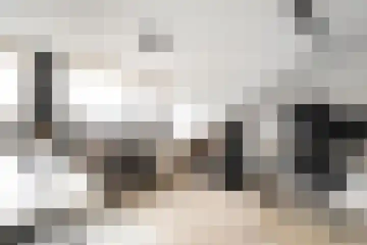 Klompenmakersweg 46 Wezep thumbnail 31