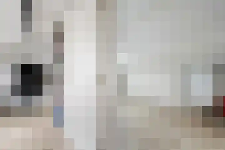 Klompenmakersweg 46 Wezep thumbnail 33