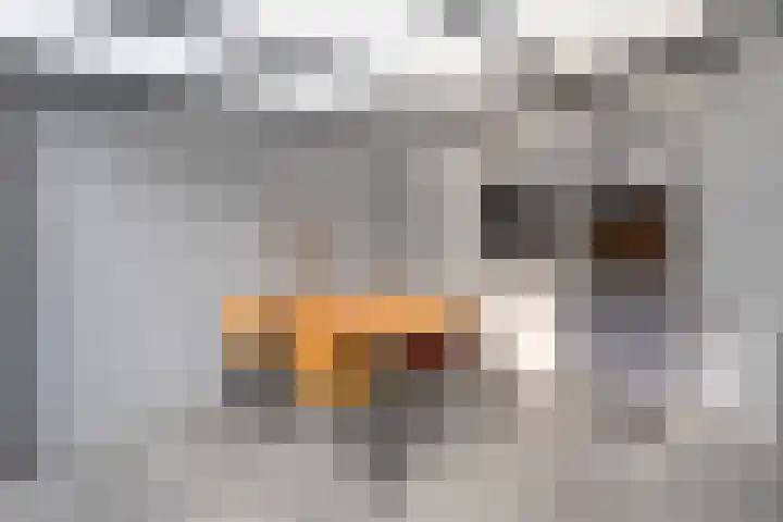 Klompenmakersweg 46 Wezep thumbnail 41