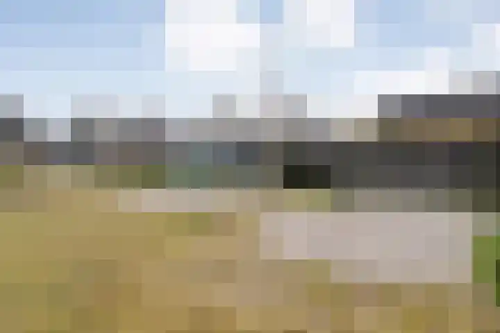 Klompenmakersweg 46 Wezep thumbnail 50