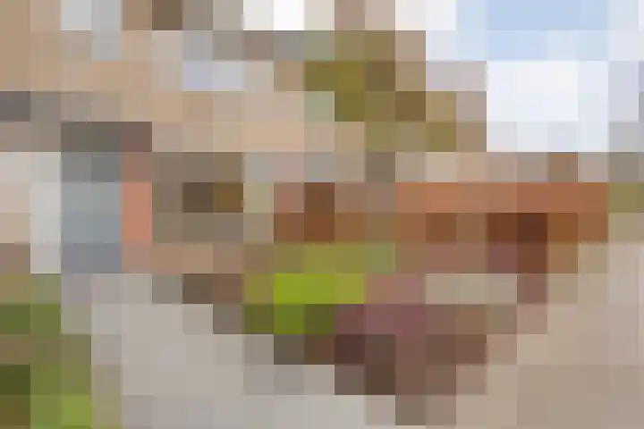 Klompenmakersweg 46 Wezep thumbnail 54