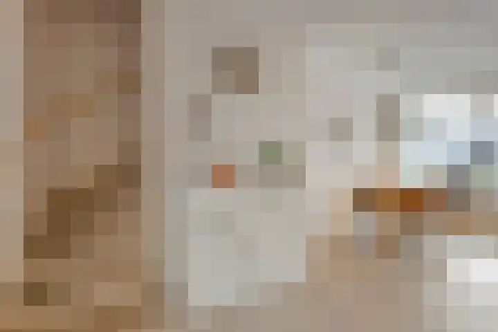 Klompenmakersweg 46 Wezep thumbnail 7