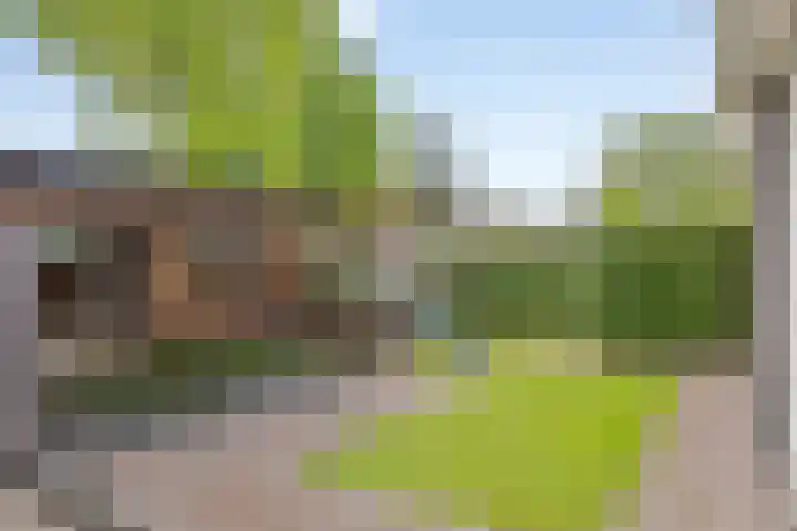 Klomperweg 38 Lunteren thumbnail 26