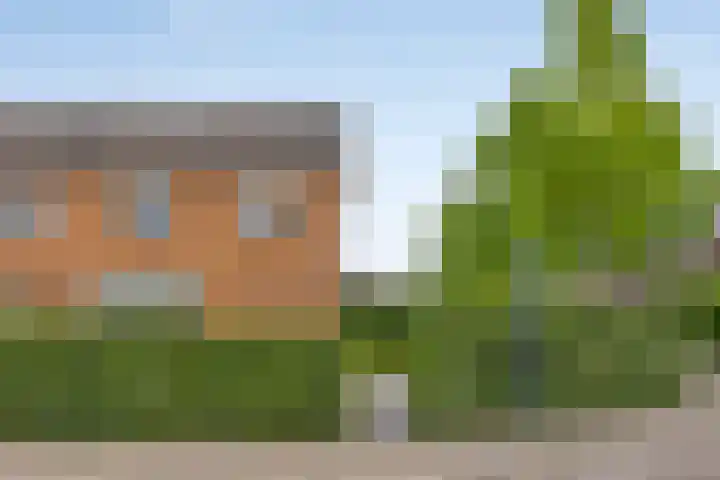 Klomperweg 38 Lunteren thumbnail 37