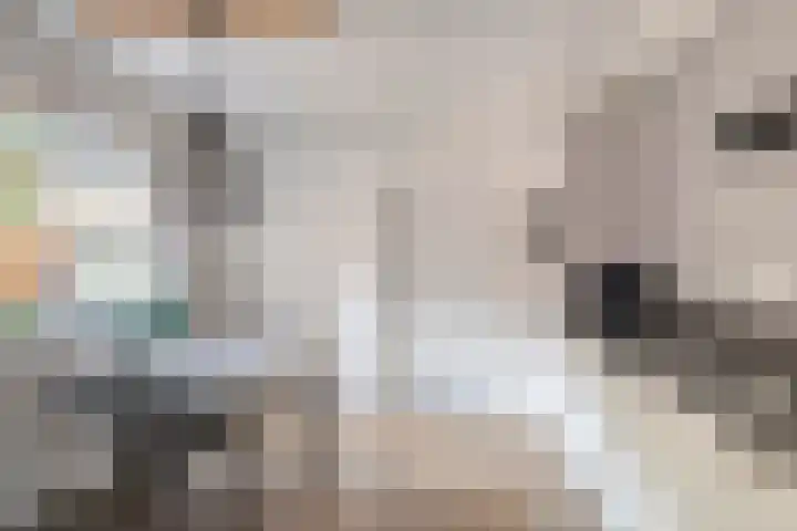 Klompstraat 1 Heino thumbnail 11