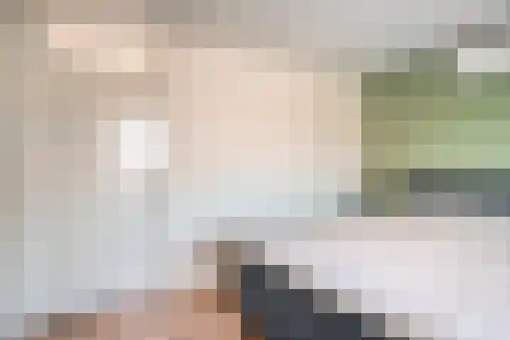 Klompstraat 1 Heino thumbnail 18