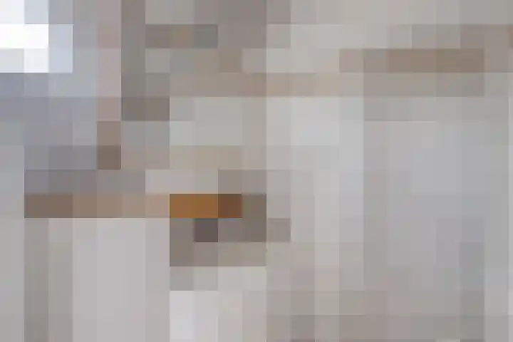 Klompstraat 1 Heino thumbnail 24