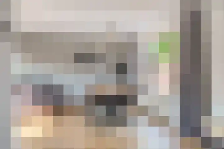 Klompstraat 1 Heino thumbnail 9