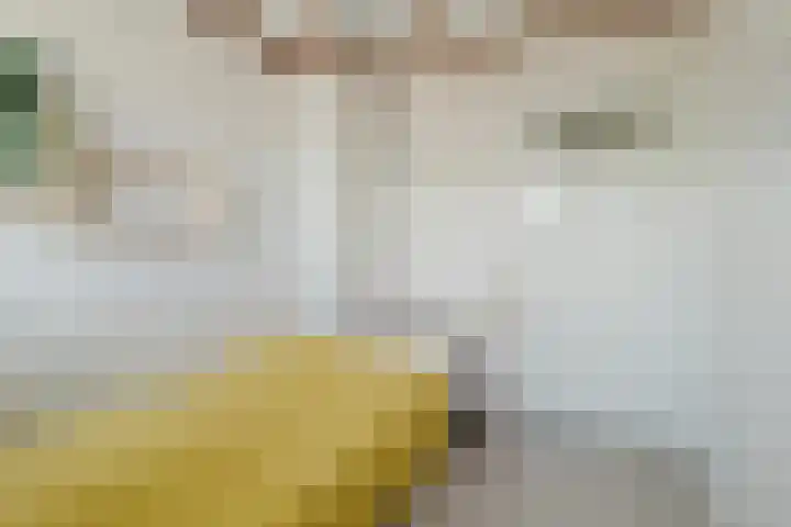 Klompstraat 20 Heino thumbnail 17