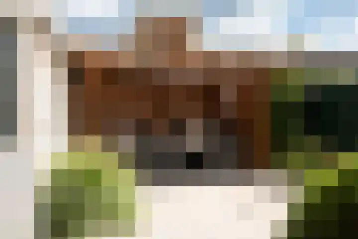 Klompstraat 20 Heino thumbnail 24