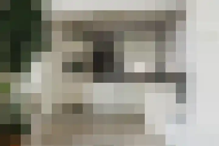 Klompstraat 20 Heino thumbnail 9