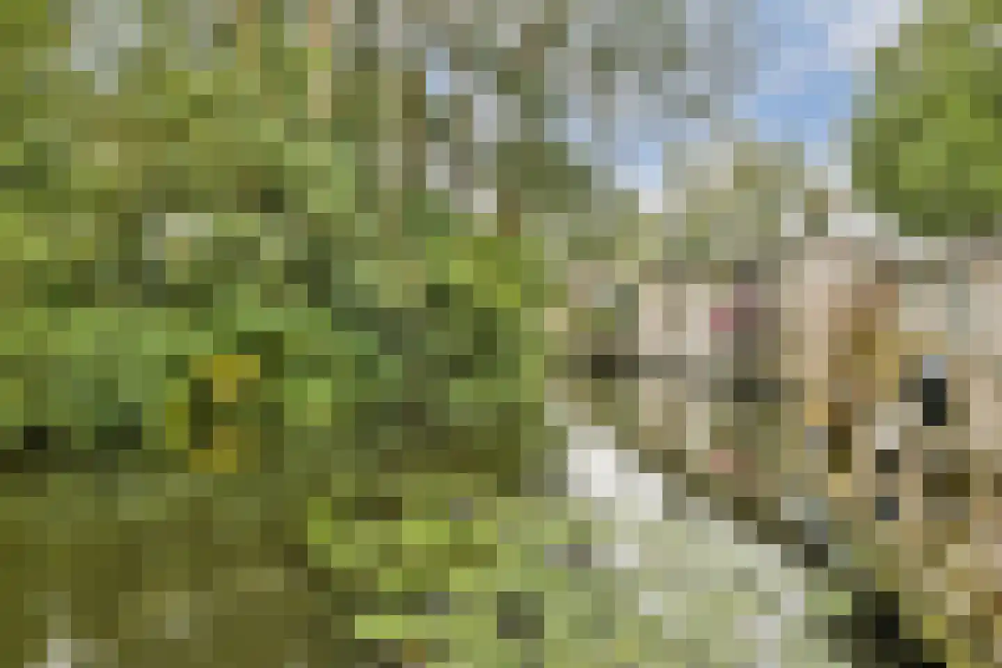 Klompweg 17 Nigtevecht thumbnail 32
