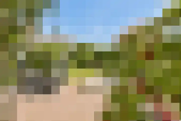 Klompweg 2 Nigtevecht thumbnail 32