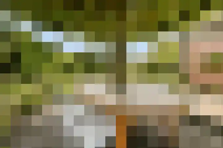 Klompweg 2 Nigtevecht thumbnail 33