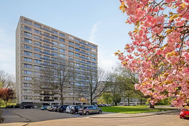 Kloosplantsoen 117 in Ridderkerk foto