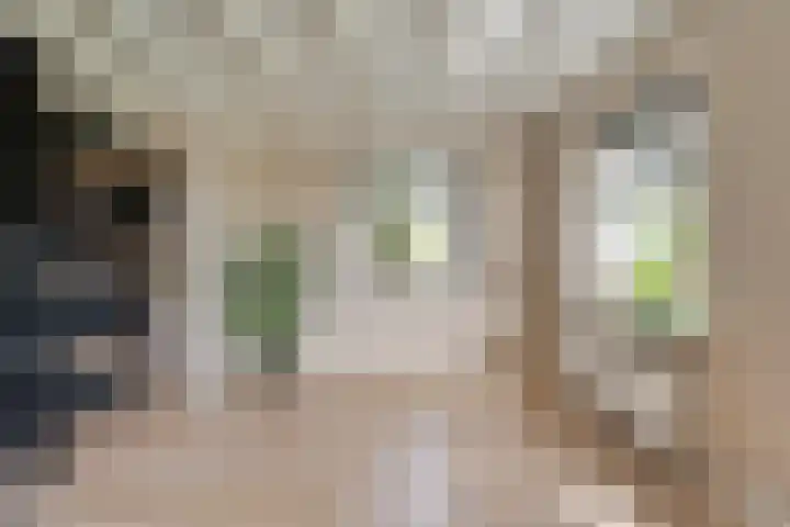Klooster 2 Coevorden thumbnail 17