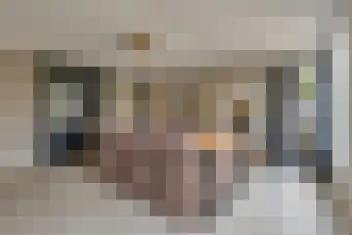 Klooster 2 Coevorden thumbnail 23