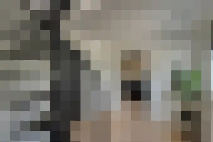 Klooster 2 Coevorden thumbnail 24