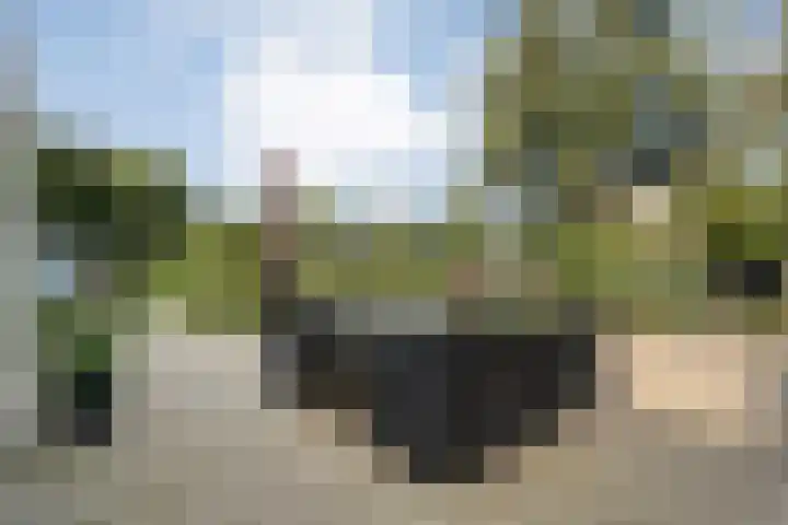 Klooster 2 Coevorden thumbnail 46