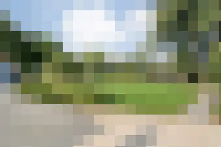 Klooster 2 Coevorden thumbnail 48