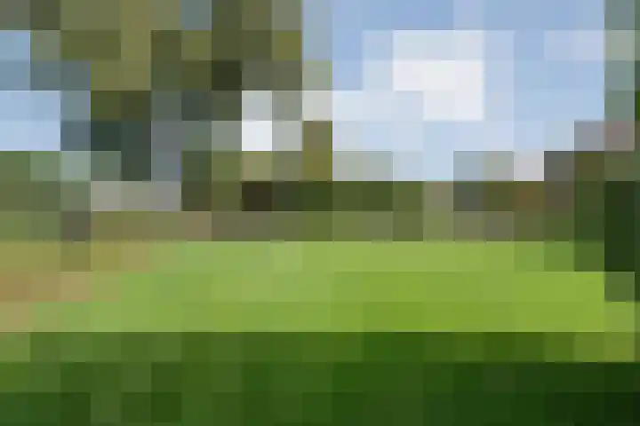 Klooster 2 Coevorden thumbnail 58