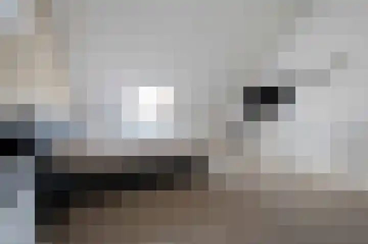 Kloosterhof 2 Bosschenhoofd thumbnail 41