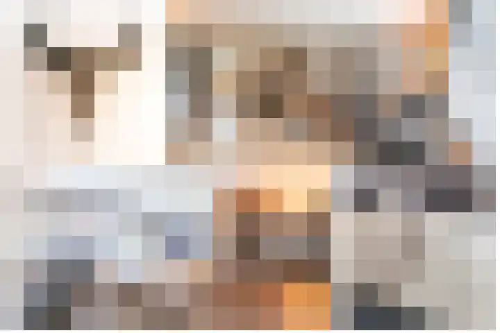 Kloosterhof 2 Bosschenhoofd thumbnail 9