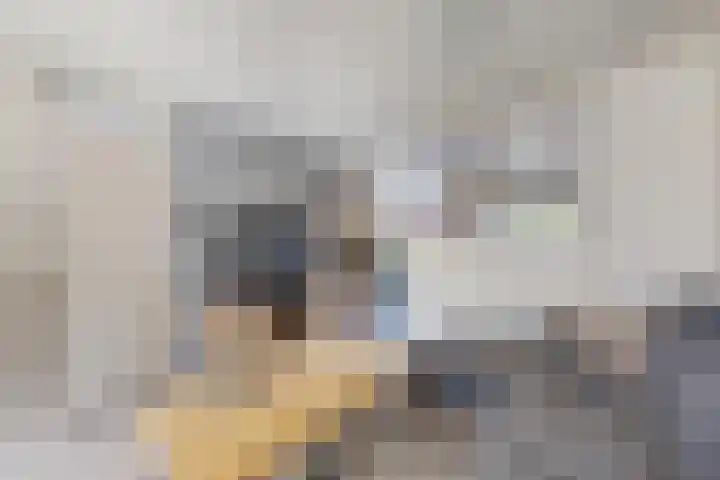 Kloosterlaan 9 Langeweg thumbnail 11