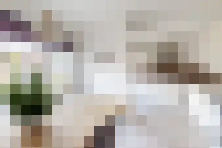 Kloosterlaan 9 Langeweg thumbnail 19