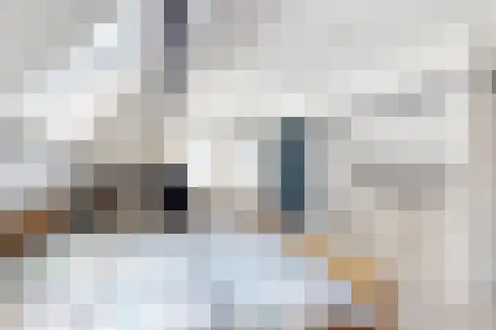 Kloosterlaan 9 Langeweg thumbnail 32
