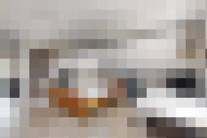 Kloosterlaan 9 Langeweg thumbnail 34