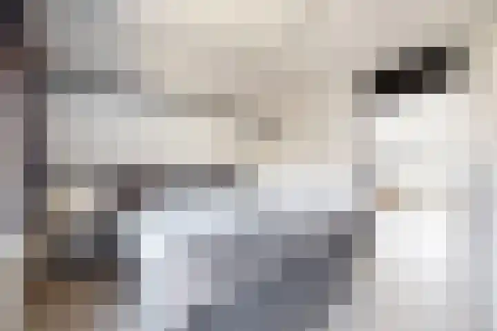 Kloosterlaan 9 Langeweg thumbnail 36