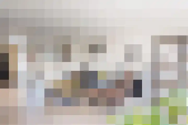 Kloosterlaan 9 Langeweg thumbnail 9