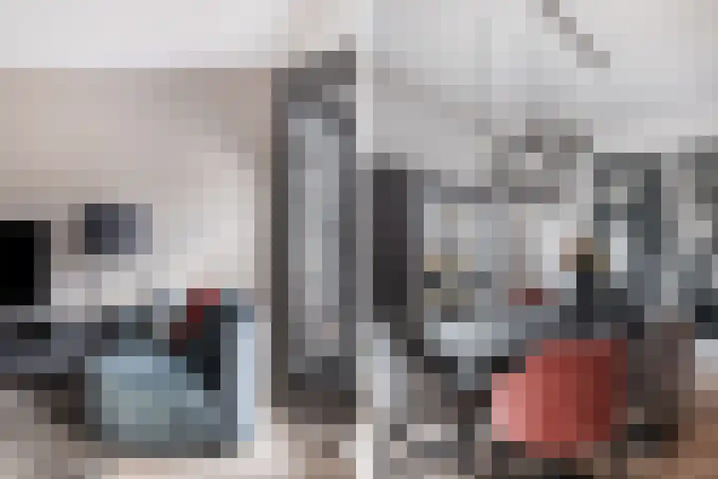 Kloosterpad 9 Stevensbeek thumbnail 43